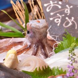 活イカ