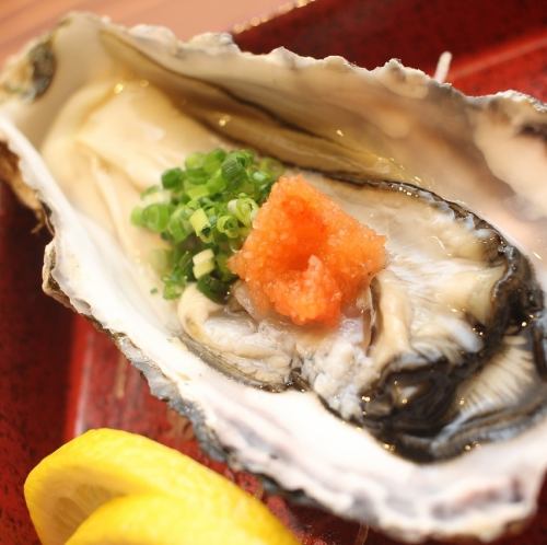 活カキ酢 1ケ