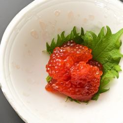 すじこ