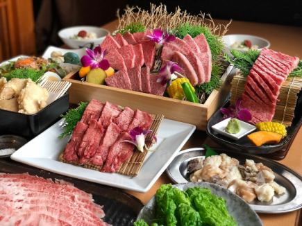 [Food only ☆ Enjoy plenty of our proud Wagyu beef ♪] Wagyu beef course ≪13 dishes in total≫ 5,500 yen per person (tax included)