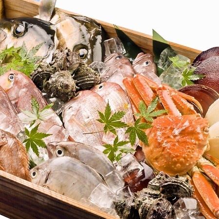 ◆ Enjoy the seafood of Genkai