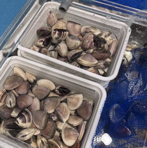 直送の新鮮さをお届け！