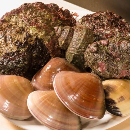 食べる楽しさ、感じる鮮度の極み！新鮮な蛤です！