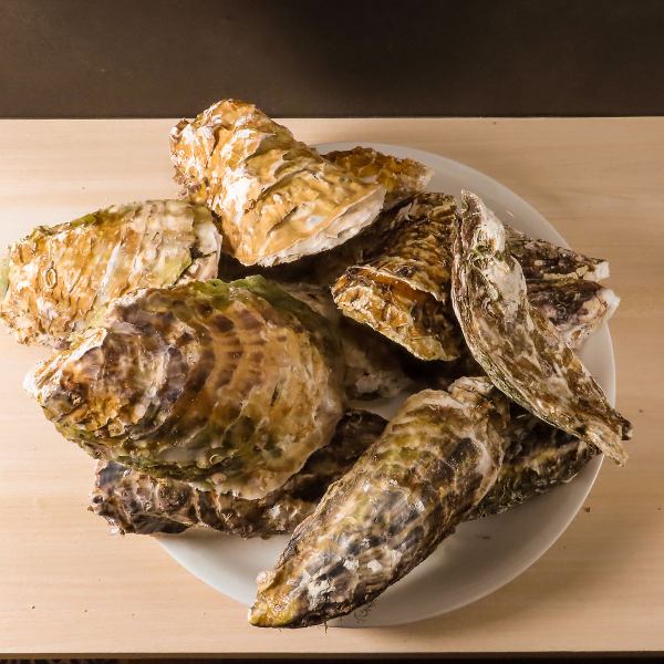 【牡蠣】常に新鮮で美味しい[海のミルク]をお届け！贅沢に味わえる◎