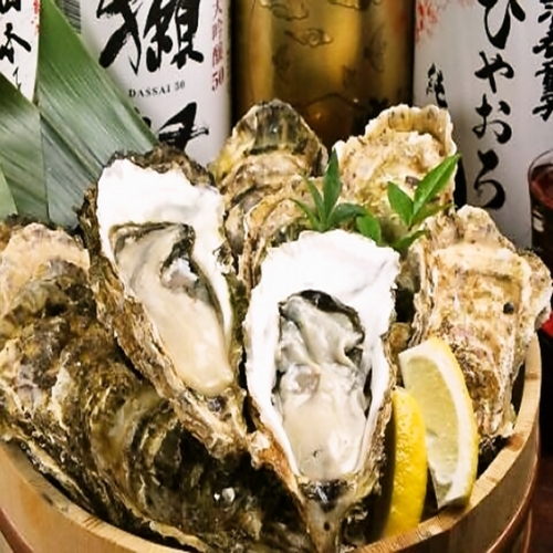 Freshness is the key! Plump, creamy large oysters