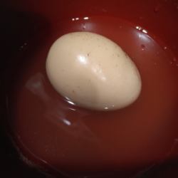 Egg