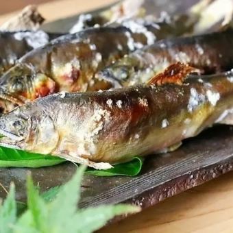 初夏のえんなすびコース！夏の旬物と鮎、看板料理3時間飲み放付9品3500円※金曜祝前祝中日は2.5h