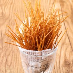 Crispy pasta snack