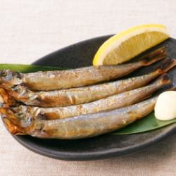 Shishamo with roe