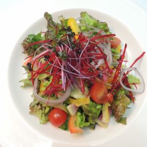 野菜のサラダ