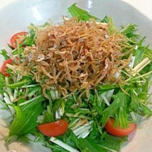 香ばしじゃこの和風サラダ