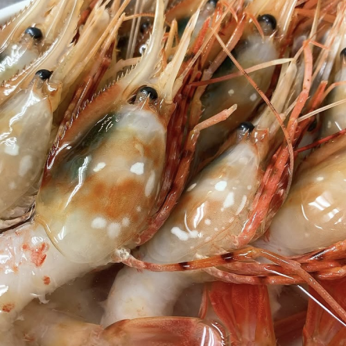 常に旬な魚と野菜を取り揃えております！