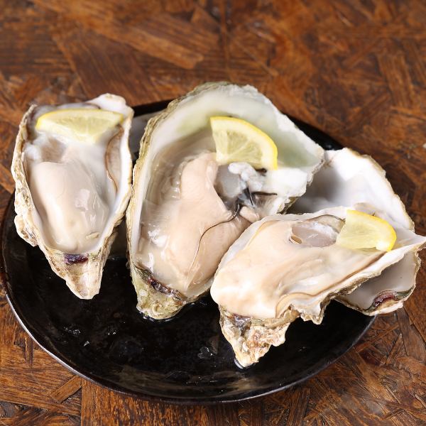 【地元漁師直送！鮮度抜群で濃厚な旨味が楽しめる◎】生牡蠣