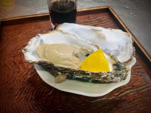 Oysters raw