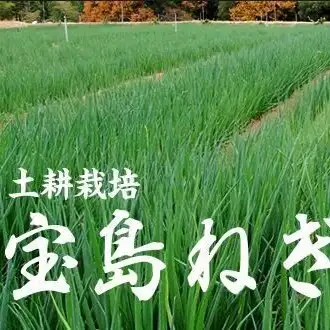 【倉橋町　宝島ねぎ】を使用。専用農場で栽培★