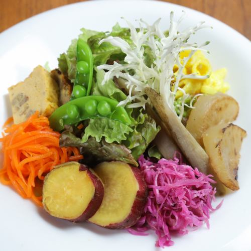 Kotan Salad Plate (S)