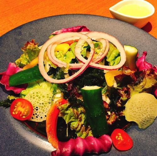 Twelve colorful vegetable salads