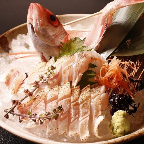 今朝採れ鮮魚を豊富にご用意！新潟の旬を味わうならぜんてい！【のど黒お造り】