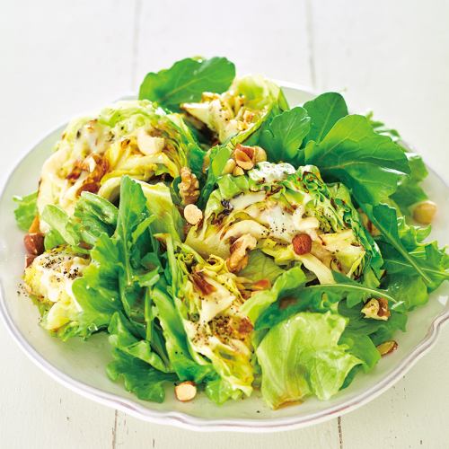 Colorful vegetable green salad