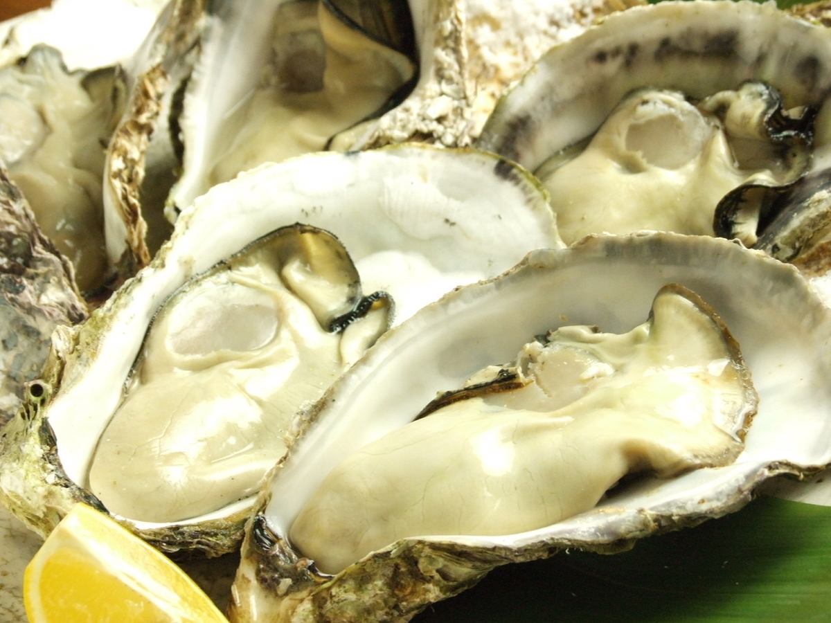 Enjoy the blessings of the sea in Hiroshima, oysters with shells all year round!