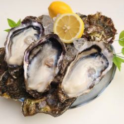 広島生牡蠣　かきむすめ　1ケ