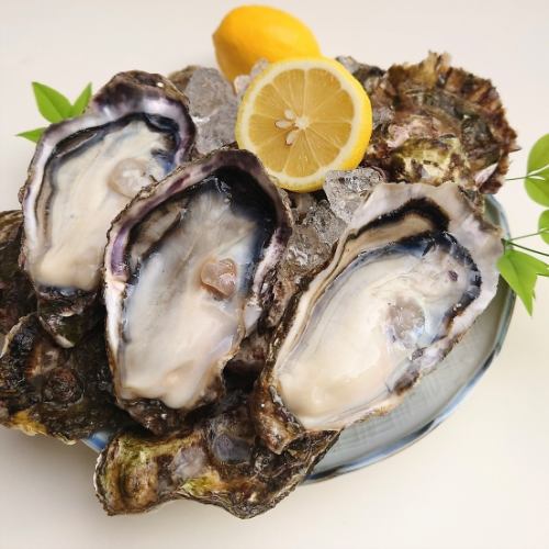 広島生牡蠣 かきむすめ 1ケ