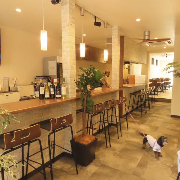 【愛犬と家族に優しいカフェ＆ダイナー】昼は明るいカフェ、夜は賑やかなカジュアルダイナーとして様々な顔を持つお店です。小型犬から大型犬までのワンちゃん大歓迎で、ワンちゃん用のフードメニューやお水もご用意しています♪アットホームな雰囲気の中でご家族みんなでリラックスして過ごせる空間です。