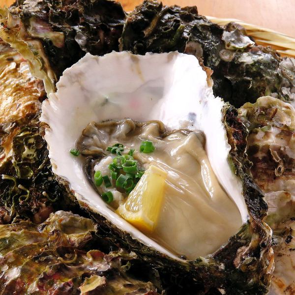 Our favorite! "Oysters"