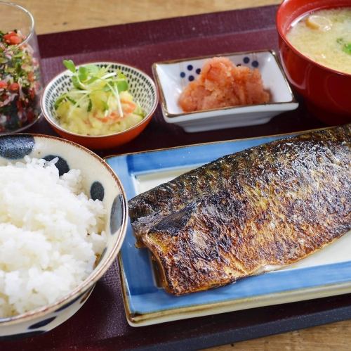 Toro mackerel dried overnight and Hakata mentaiko set meal