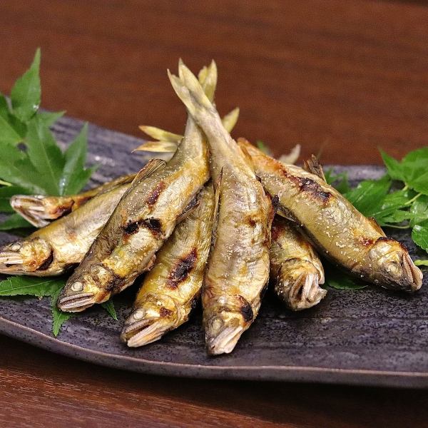 単品メニュー各種