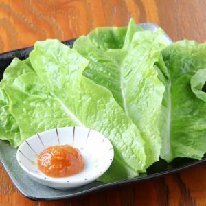 상추
