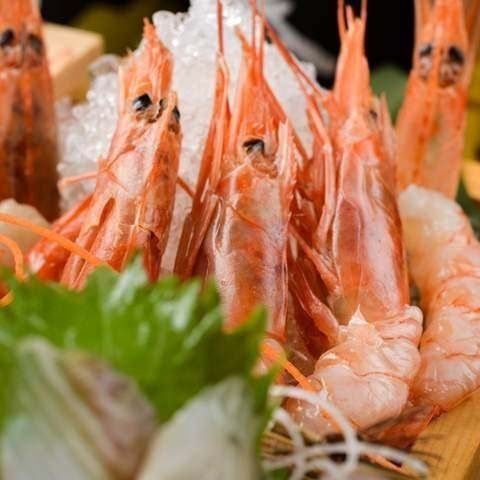 甘エビ　5尾