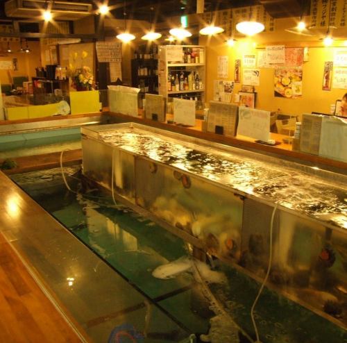 店内中央には鮮魚が沢山入った大きな生簀有り。