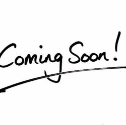 생선회 모듬(1~2인분)