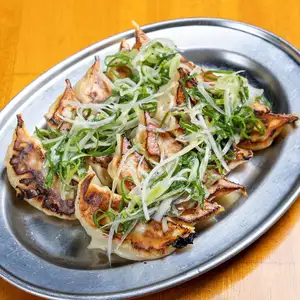 Katchan's Special! Green Onion and Salt Dumplings (10 pieces)