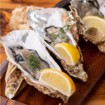 Raw oysters or grilled oysters