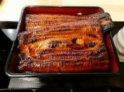 Grilled eel on rice, regular size