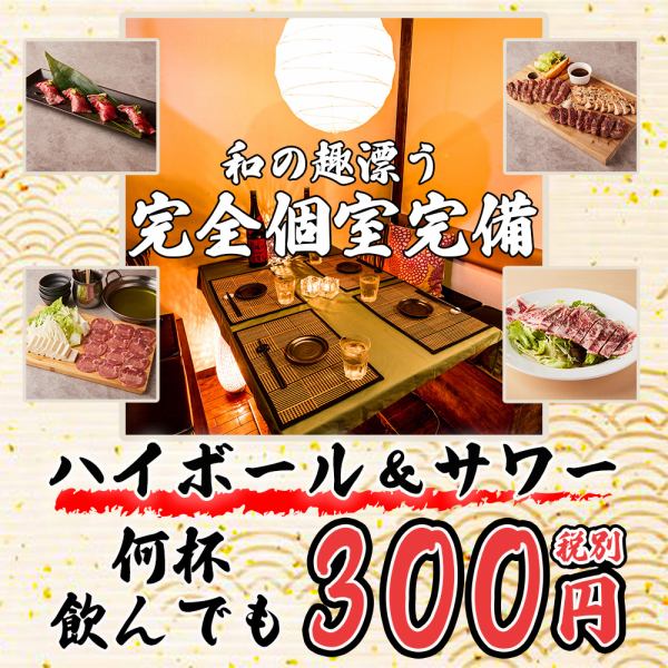 [Aiming for No. 1 cost performance] We offer sour highballs (with some exceptions) for 300 yen! Enjoy the ball to your heart's content! There are also many completely private rooms! You can relax without worrying about your surroundings.