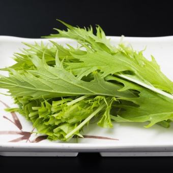 水菜/中国蔬菜/香菇/豆芽