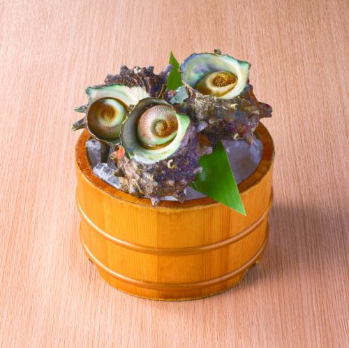 <単品>活さざえ　1個
