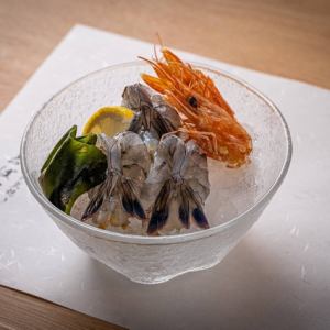 ニューカレドニア産 天使の海老 二尾