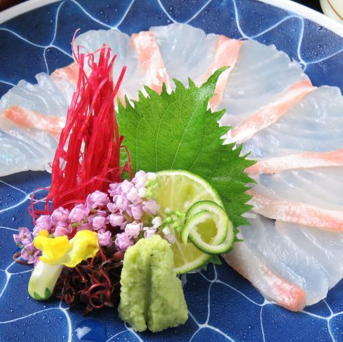 瀬戸内真鯛 造り