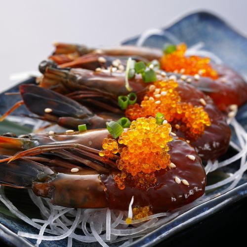 Shrimp sashimi