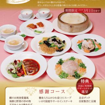 45周年感謝コース