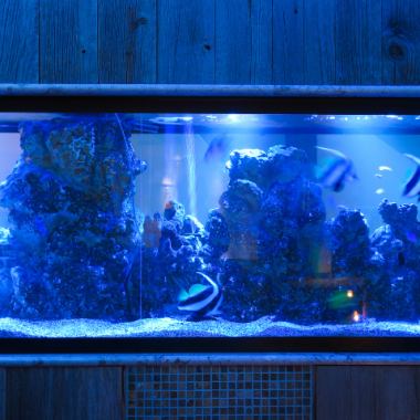 The deep sea-themed aquarium dining is an extraordinary space where you can feel the sound of waves and sand in the image of a resort in Tahiti.If you want to enjoy your meal well or enjoy your drink slowly, you can use it like a bar.Spend time away from the hustle and bustle of the city.