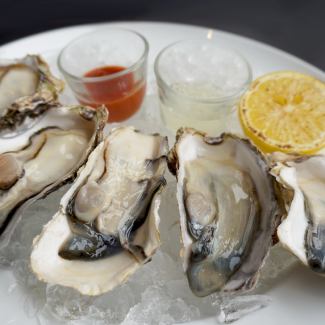 フレッシュオイスター5P