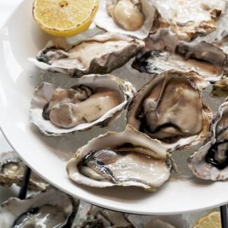 オイスタータワー20p