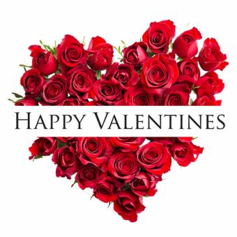 【Ryuduki Valentine PairPlann】　