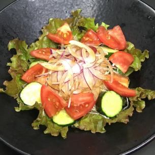 Green salad of tomato and lettuce and cucumber