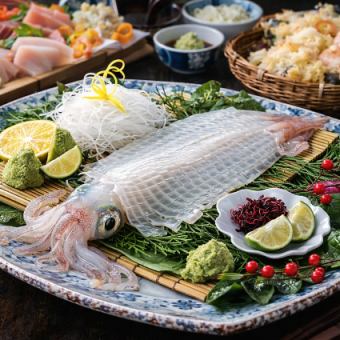 ●呼子直送!!活きイカコース●全11品6000円●ごま鯖/明太もつ鍋【お料理のみ】